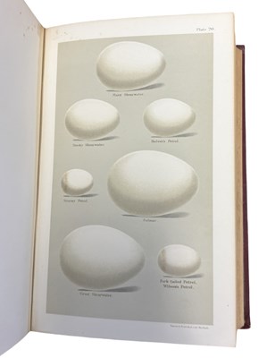 Lot 90 - HENRY SEEBOHM: COLOURED FIGURES OF THE EGGS OF...