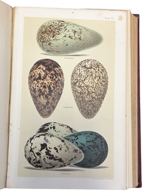 Lot 90 - HENRY SEEBOHM: COLOURED FIGURES OF THE EGGS OF...