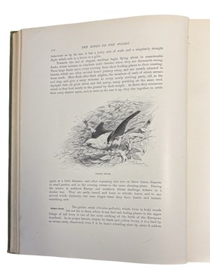Lot 71 - R LYDEKKER: WILD LIFE OF THE WORLD - A...