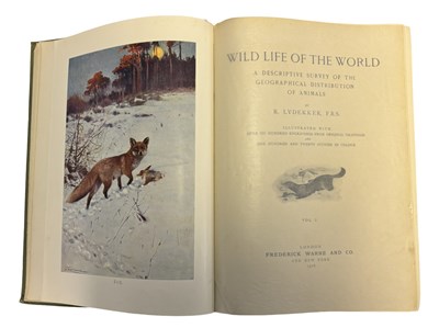Lot 71 - R LYDEKKER: WILD LIFE OF THE WORLD - A...