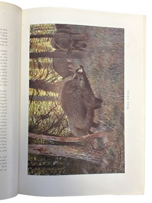 Lot 71 - R LYDEKKER: WILD LIFE OF THE WORLD - A...