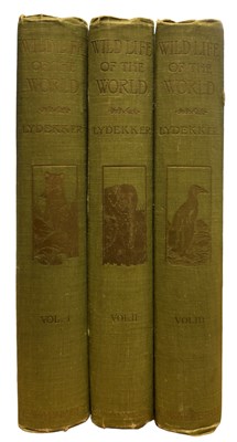 Lot 71 - R LYDEKKER: WILD LIFE OF THE WORLD - A...
