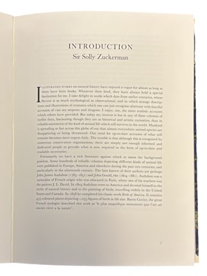Lot 87 - AXEL AMUCHASTEGUI: STUDIES OF BIRDS AND...