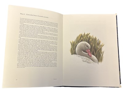 Lot 87 - AXEL AMUCHASTEGUI: STUDIES OF BIRDS AND...