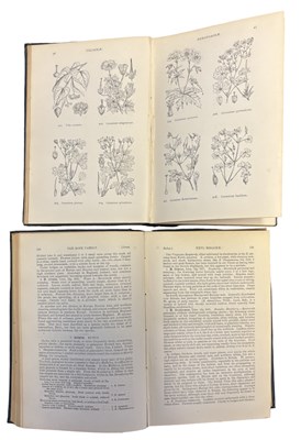 Lot 41 - BRITISH FLORA: 2 Titles: W H FITCH AND W G...