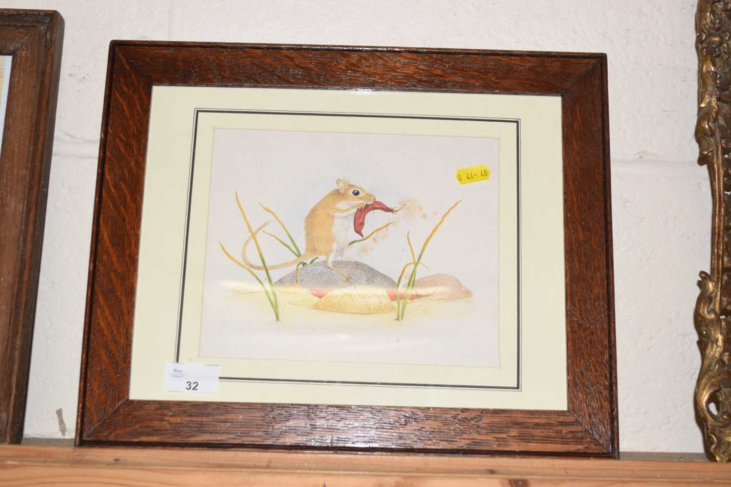 Lot 32 - A framed study of a mouse