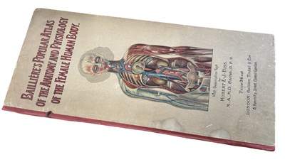Lot 1029 - ANATOMICAL MOVEABLE FLAPS. The Anatomy and...