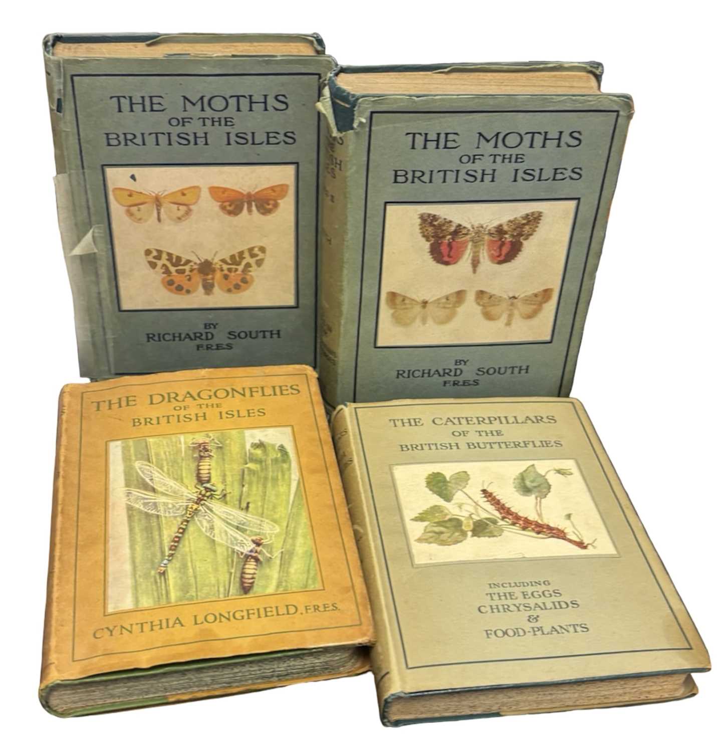 Lot 75 - RICHARD SOUTH: 4 Titles: THE MOTHS OF THE...
