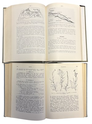 Lot 45 - NORWEGIAN NATURAL HISTORY: 2 Titles: JOHANNES...