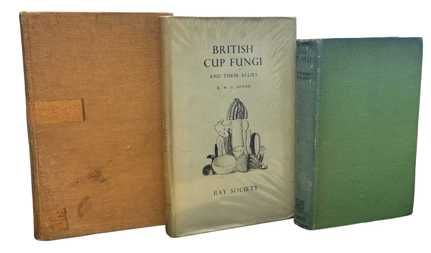 Lot 44 - FUNGHI: 3 Titles: H C I GWYNNE-VAUGHAN AND B...