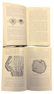 Lot 52 - DUKINFIELD HENRY SCOTT: STUDIES IN FLORAL...