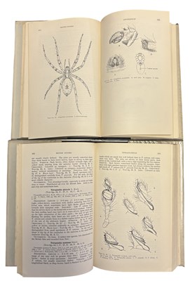 Lot 74 - G H LOCKET AND A F MILLIDGE: BRITISH SPIDERS,...
