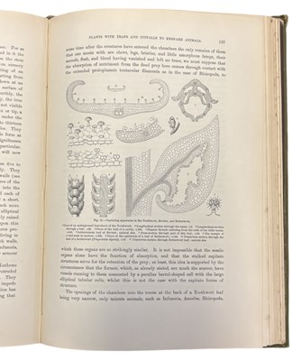 Lot 58 - F W OLIVER (Transl) FROM THE ORIGINAL GERMAN...