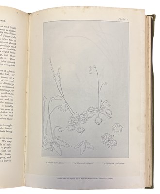 Lot 58 - F W OLIVER (Transl) FROM THE ORIGINAL GERMAN...