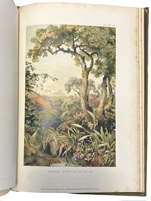 Lot 58 - F W OLIVER (Transl) FROM THE ORIGINAL GERMAN...