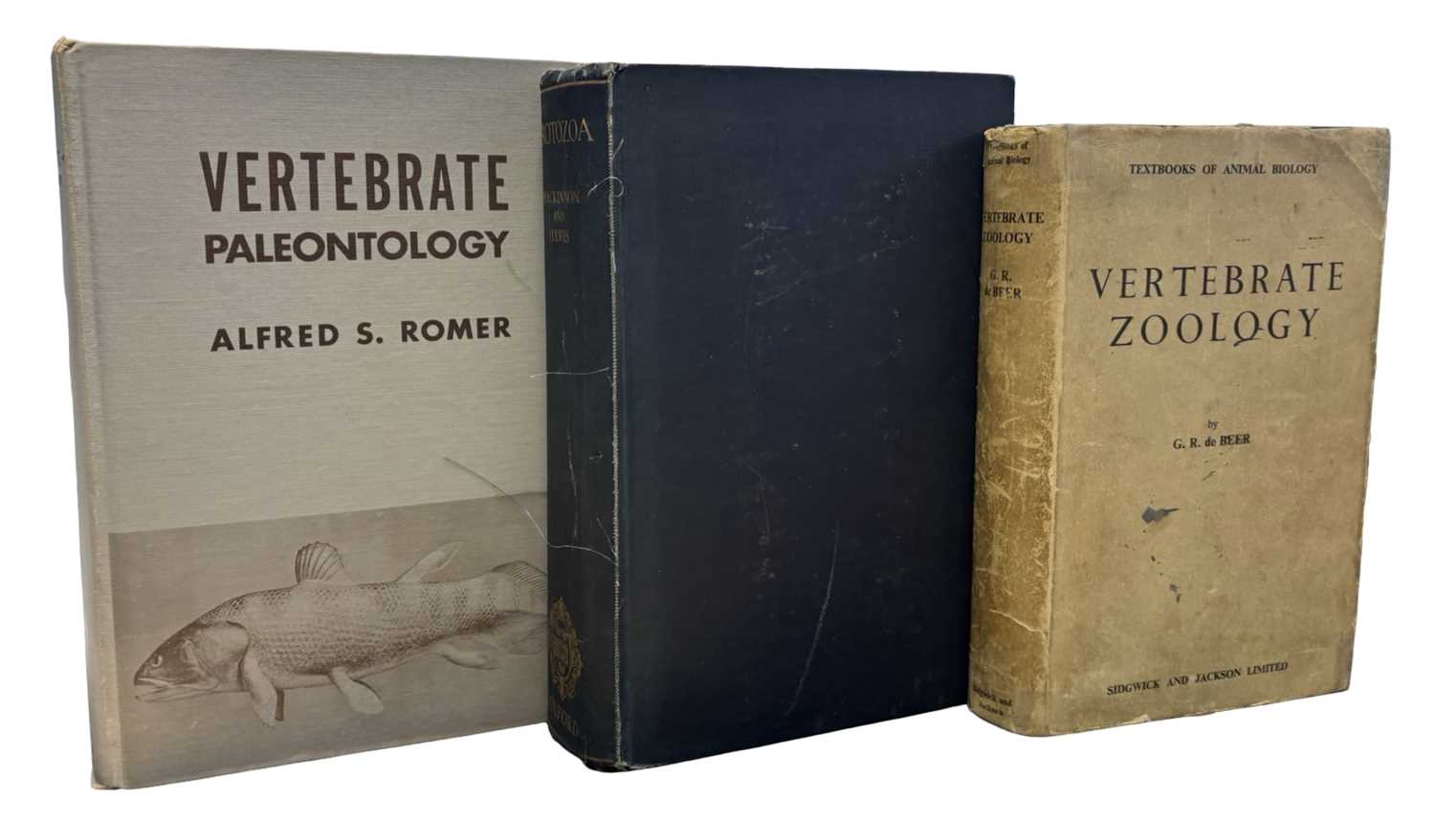 Lot 68 - PALEONTOLOGY INTEREST: 3 Titles: G R DE BEER:...