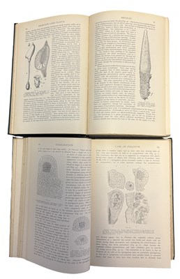 Lot 51 - F O BOWER: 2 Titles: PRIMITIVE LAND PLANTS...