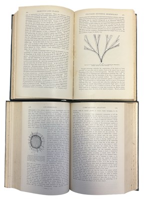Lot 51 - F O BOWER: 2 Titles: PRIMITIVE LAND PLANTS...