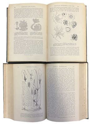 Lot 51 - F O BOWER: 2 Titles: PRIMITIVE LAND PLANTS...