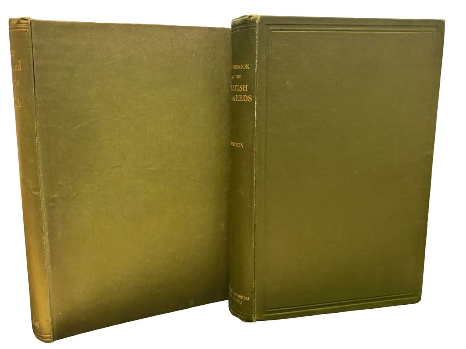 Lot 78 - NATURAL HISTORY: 2 Titles: LILY NEWTON: A...
