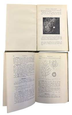 Lot 78 - NATURAL HISTORY: 2 Titles: LILY NEWTON: A...