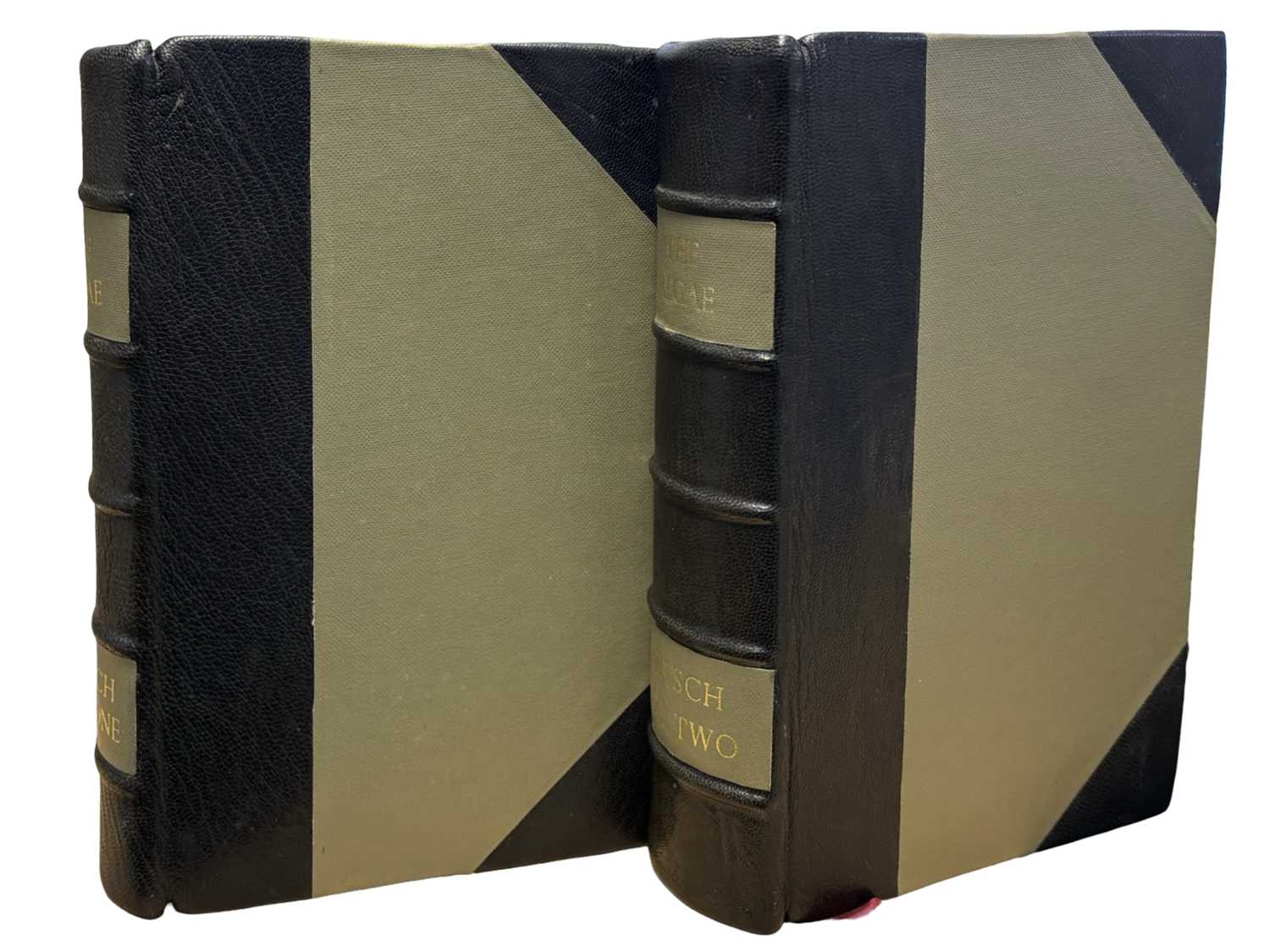 Lot 53 - F E FRITSCH: THE STRUCTURE AND REPRODUCTION OF...