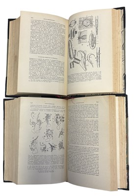 Lot 53 - F E FRITSCH: THE STRUCTURE AND REPRODUCTION OF...