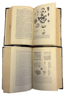 Lot 53 - F E FRITSCH: THE STRUCTURE AND REPRODUCTION OF...