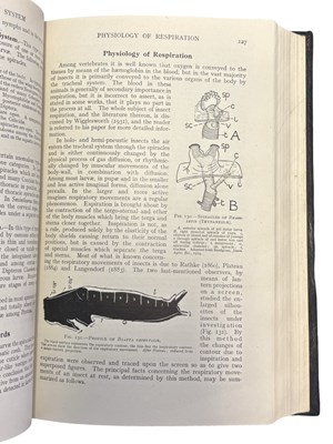 Lot 73 - A D IMMS: A GENERAL TEXTBOOK OF ENTOMOLOGY -...