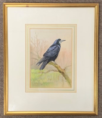 Lot 57 - Roland Green (1896-1972), "Rook", pencil,...
