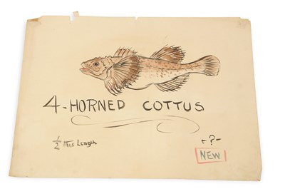 Lot 575 - Attributed to Arthur Henry Patterson (John...