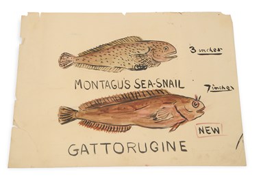 Lot 574 - Attributed to Arthur Henry Patterson (John...