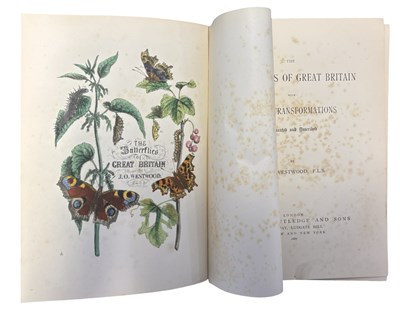 Lot 76 - J O WESTWOOD: THE BUTTERFLIES OF GREAT BRITAIN...