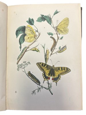 Lot 76 - J O WESTWOOD: THE BUTTERFLIES OF GREAT BRITAIN...