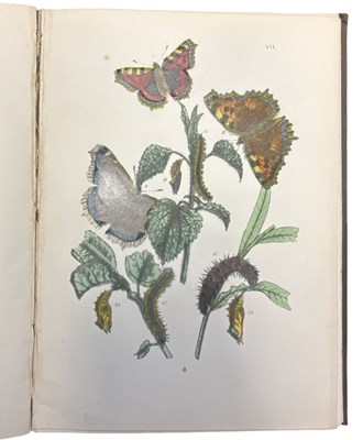 Lot 76 - J O WESTWOOD: THE BUTTERFLIES OF GREAT BRITAIN...