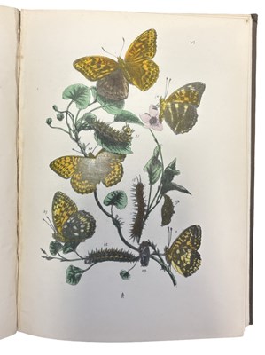Lot 76 - J O WESTWOOD: THE BUTTERFLIES OF GREAT BRITAIN...