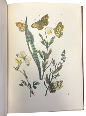 Lot 76 - J O WESTWOOD: THE BUTTERFLIES OF GREAT BRITAIN...