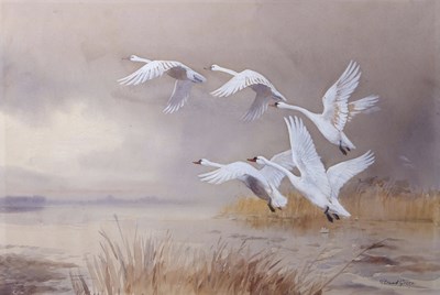 Lot 522 - Roland Green (1890-1972), "Mute Swans over the...