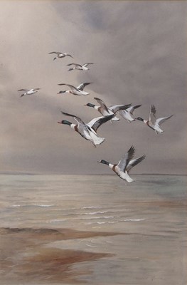 Lot 521 - Roland Green (1890-1972), "Shelduck",...