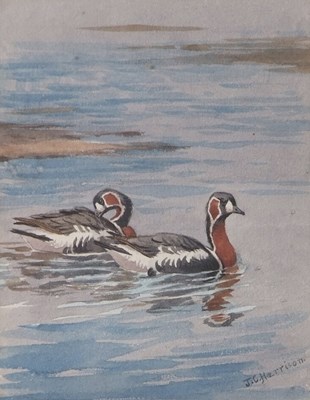 Lot 533 - John Cyril Harrison (1898-1985), Swimming...
