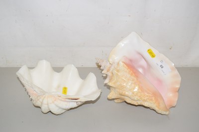 Lot 77 - Large conch shell and a further clam shell (2)