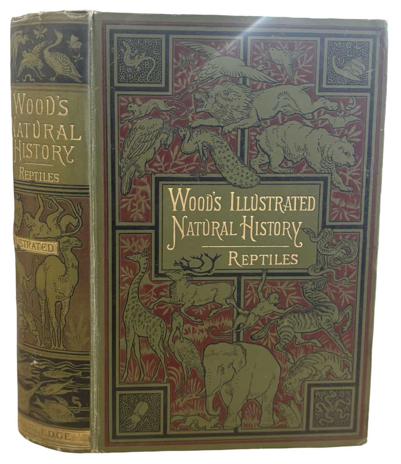 Lot 82 - The Illustrated Natural History by the Rev J....