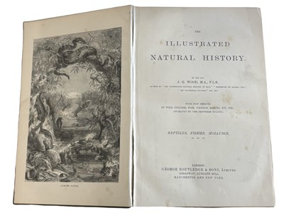 Lot 82 - The Illustrated Natural History by the Rev J....