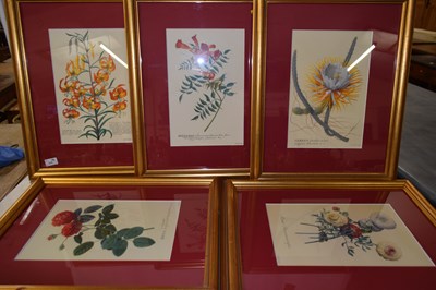Lot 248 - Group of five framed botanical prints