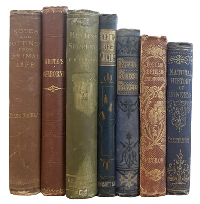 Lot 77 - NATURAL HISTORY - ZOOLOGY. Seven Victorian...
