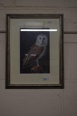 Lot 261 - Tony Bryant study of a barn owl