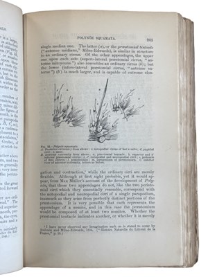 Lot 84 - HUXLEY H. THOMAS. A Manual of the Anatomy of...