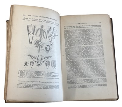 Lot 84 - HUXLEY H. THOMAS. A Manual of the Anatomy of...