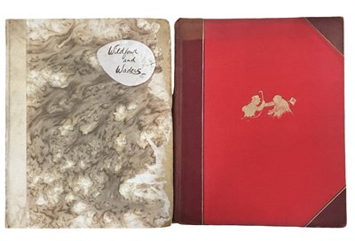 Lot 123 - LIMITED EDITION AND SIGNED. Sport “and there’s...