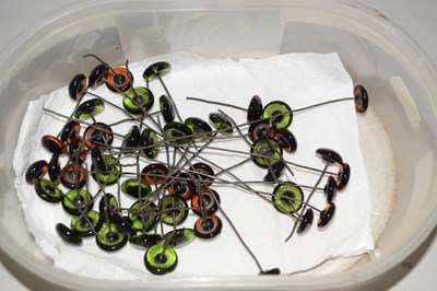 Lot 93 - Small box containing a quantity of glass eyes